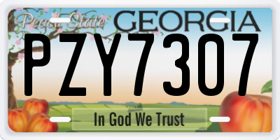 GA license plate PZY7307