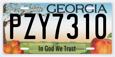 GA license plate PZY7310