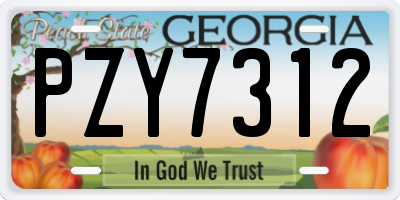GA license plate PZY7312