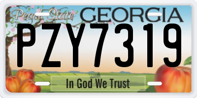 GA license plate PZY7319