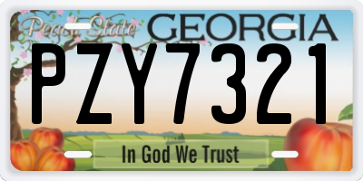 GA license plate PZY7321