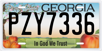 GA license plate PZY7336