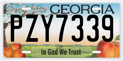 GA license plate PZY7339