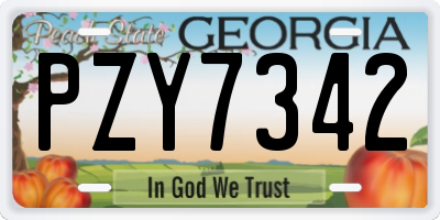 GA license plate PZY7342