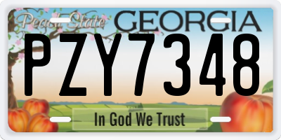 GA license plate PZY7348