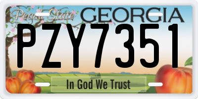 GA license plate PZY7351