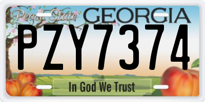 GA license plate PZY7374