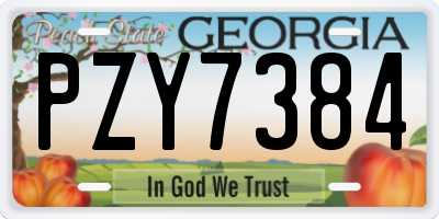 GA license plate PZY7384