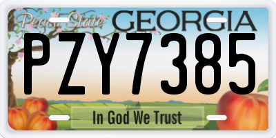 GA license plate PZY7385