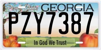 GA license plate PZY7387