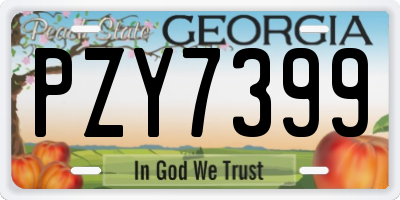 GA license plate PZY7399