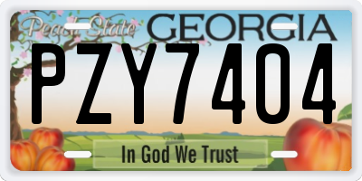 GA license plate PZY7404
