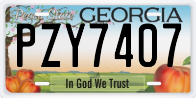 GA license plate PZY7407
