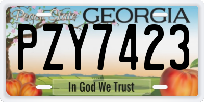 GA license plate PZY7423