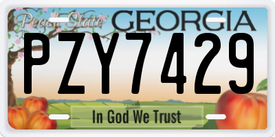 GA license plate PZY7429