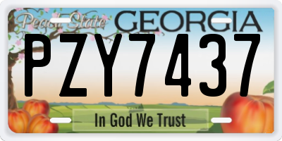 GA license plate PZY7437