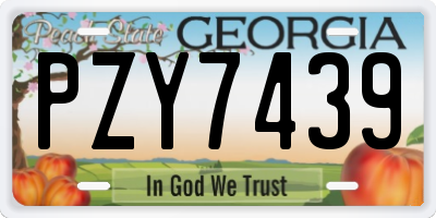 GA license plate PZY7439
