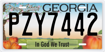 GA license plate PZY7442