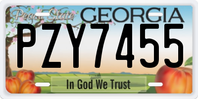 GA license plate PZY7455