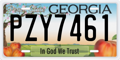 GA license plate PZY7461