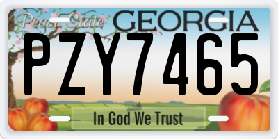 GA license plate PZY7465