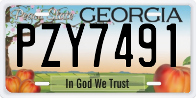 GA license plate PZY7491