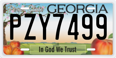 GA license plate PZY7499