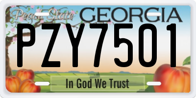 GA license plate PZY7501