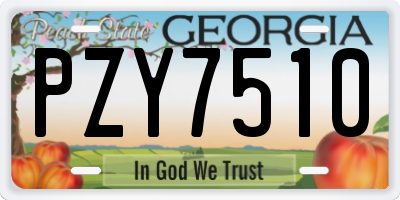 GA license plate PZY7510
