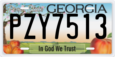 GA license plate PZY7513