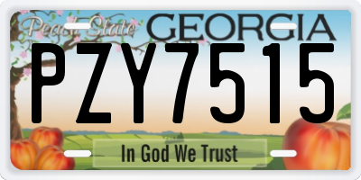 GA license plate PZY7515