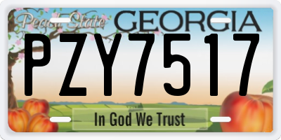 GA license plate PZY7517