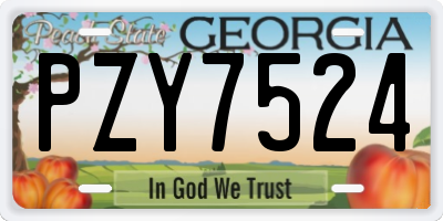 GA license plate PZY7524