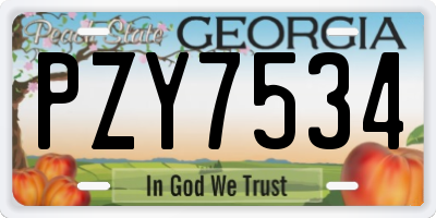 GA license plate PZY7534