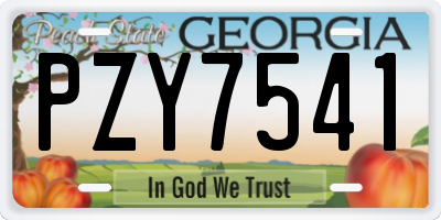 GA license plate PZY7541