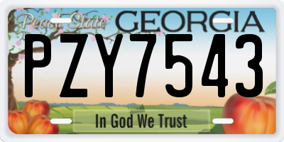 GA license plate PZY7543