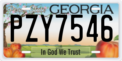GA license plate PZY7546