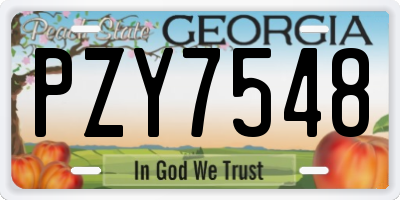 GA license plate PZY7548