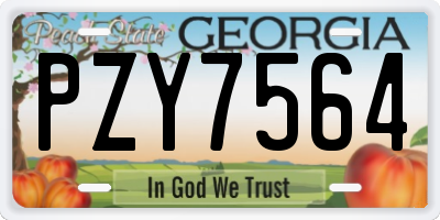 GA license plate PZY7564