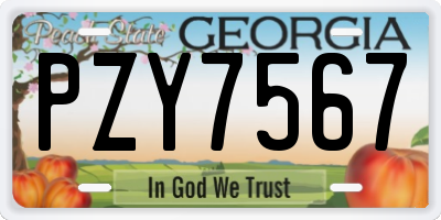 GA license plate PZY7567