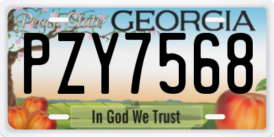GA license plate PZY7568