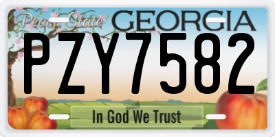 GA license plate PZY7582