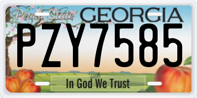 GA license plate PZY7585