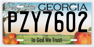 GA license plate PZY7602