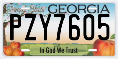 GA license plate PZY7605