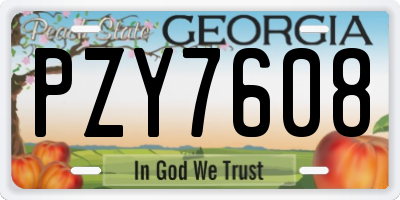 GA license plate PZY7608