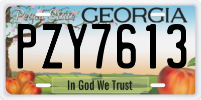 GA license plate PZY7613