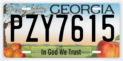GA license plate PZY7615