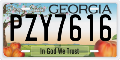 GA license plate PZY7616