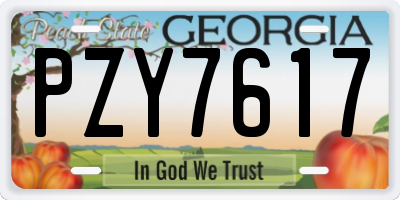 GA license plate PZY7617